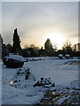 King George V Memorial Garden Winter