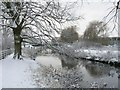 River Slea, upstream of Cogglesford Mill