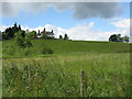 Houses on the hill