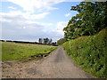 Farm track at Helshaw Grange