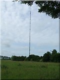 TM1264 : Mendlesham transmitter mast by Keith Evans