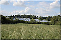 Wheatfield with polytunnels