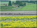 Farmland east of Broad Hinton, Wiltshire