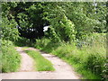 Footpath from the end of Fox Holt Road