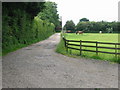 Track to Limes Farm Equestrian Centre