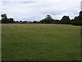 Field by Staines Road