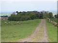 Track, pastures and woodland south of Reaygarth