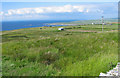 R0593 : Grassy field with coastal terrace beyond by C Michael Hogan