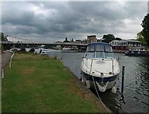 SU8586 : The River Thames at Marlow by Steve  Fareham