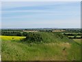 Hillock and oil seed rape