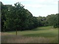 Queen?s Park: youngish oak alongside the fourth fairway