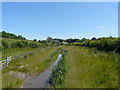 A bypass channel for Bradiford water, between Bradiford and Pottington