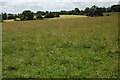 ST8790 : Farmland near Doughton by Philip Halling