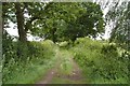 Grass Track Bridleway