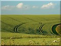 SU1375 : Farmland near the Ridgeway, Hackpen, Wiltshire by Brian Robert Marshall