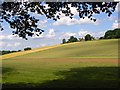 Farmland, Cookham