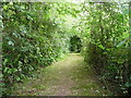 Footpath tunnel