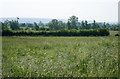 2008 : Looking east from Brokerswood Farm