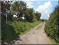 SS8685 : Footpath/track by Mynydd Baedan by eswales