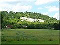 Wheat field at the foot of the North Downs