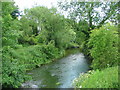 River Mole, downstream