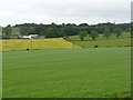 Across the fields to Nethercleuch