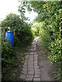 Through the allotments