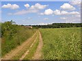 Farmland and footpath, Bisham