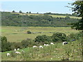 Flemingston Moor, Vale of Glamorgan