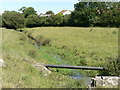 The  Hoddnant  as it nears Boverton, Nr Llantwit Major