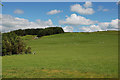 Fields near Braichyfedw farm