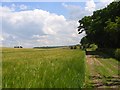 Farmland near Axford