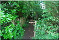 Footpath across Ightham Common