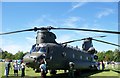 Chinook - Netley