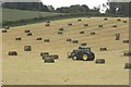 Recently baled hay