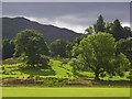 Scattered woodland, Patterdale