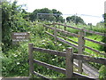 Kingmoor Sidings Nature Reserve