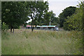 Tram with grassland