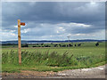 Signpost to Bishopthorpe