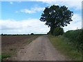 Footpath Near Honey Pots