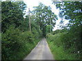 The Gill, a narrow lane near Dallinghoo