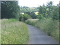 Park Lane (not for traffic) near Charsfield, looking south