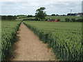 Footpath Across Oadby Lodge Farm