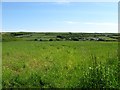 Looking over farmland to the west part of Angle