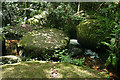 Lustleigh: stream with granite boulders