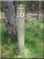 NJ4603 : Pathway markerpost by Stanley Howe