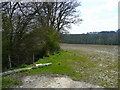 Wealden field south of Blackham