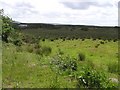 Maghernahar Townland