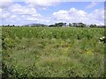 Ballynahone Townland