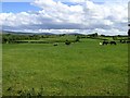 Bushvale Townland